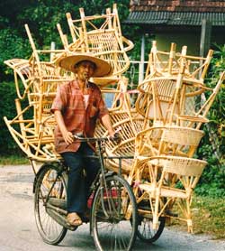 Cycling in Shanghai